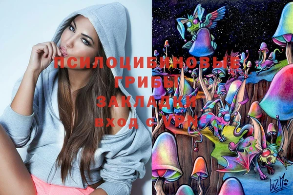 PSILOCYBIN Алексин