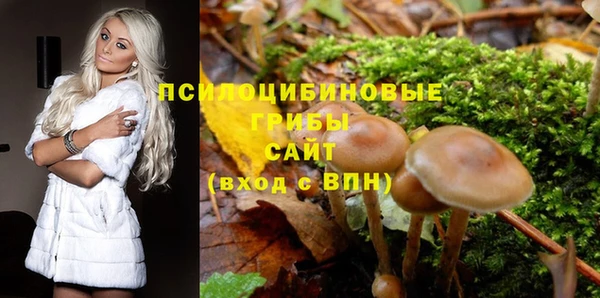 PSILOCYBIN Алексин