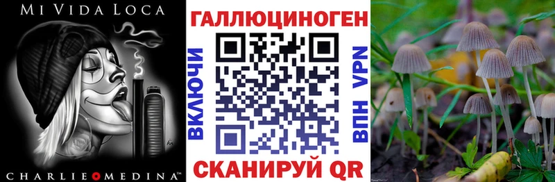 Галлюциногенные грибы GOLDEN TEACHER  купить  цена  Данков 